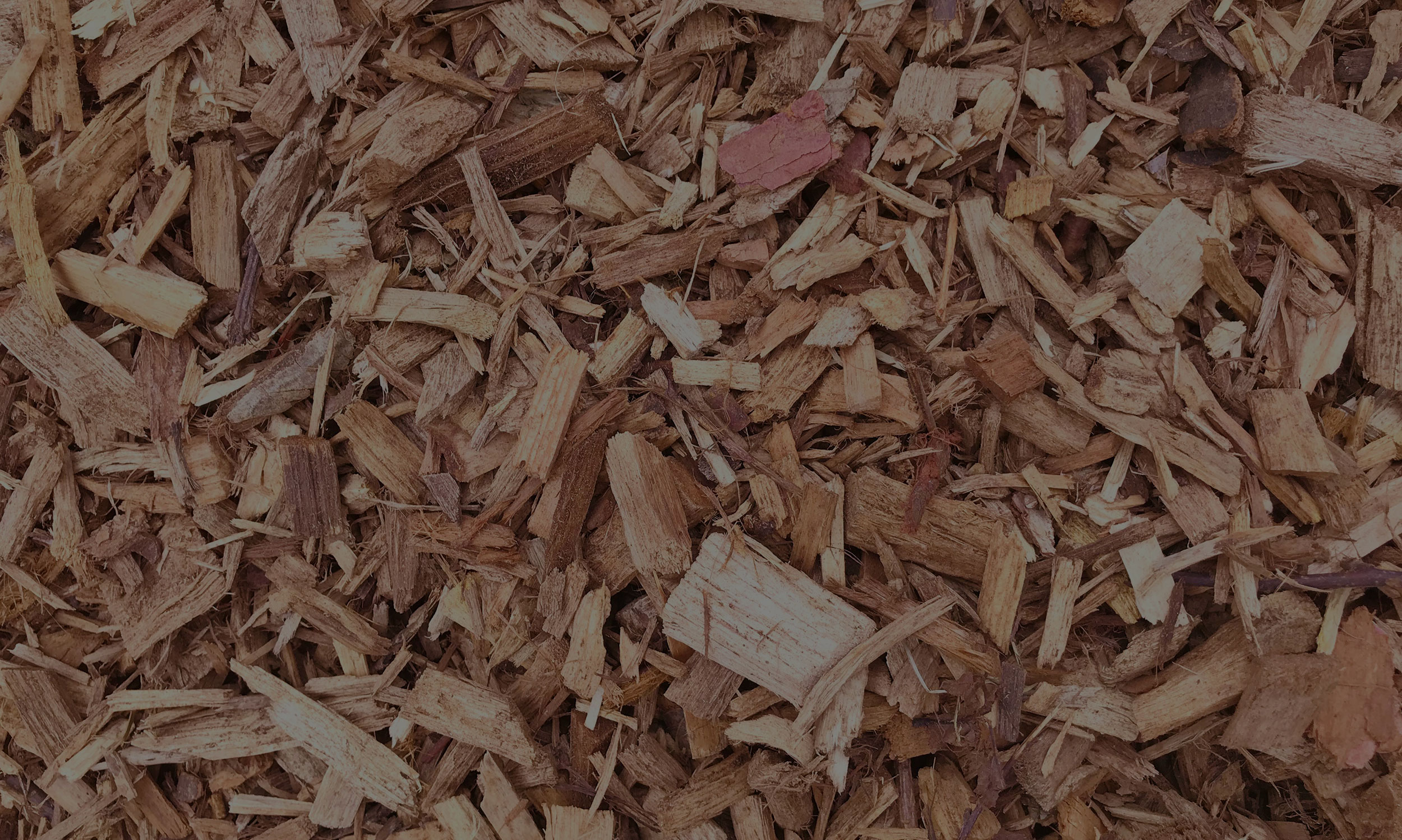 Quality woodchip from Fuelchip